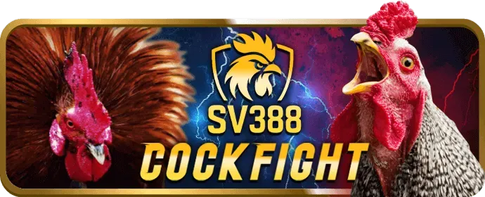 Người chơi đang chơi slot trên điện thoại di động